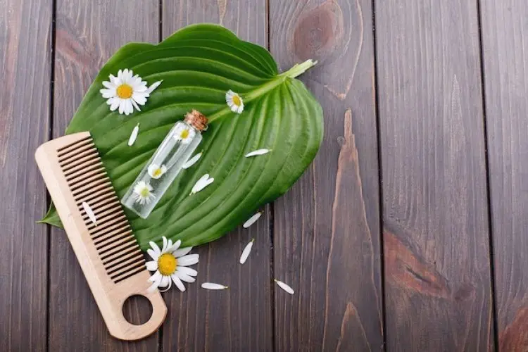 Manfaat Moringa untuk Rambut: Cara Ampuh Merangsang Pertumbuhan dan Mencegah Kerontokan
