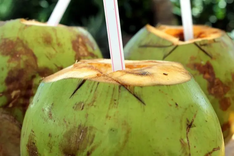 Terungkap! Manfaat Tak Terduga Air Kelapa untuk Kecantikan dan Kesehatan Wanita
