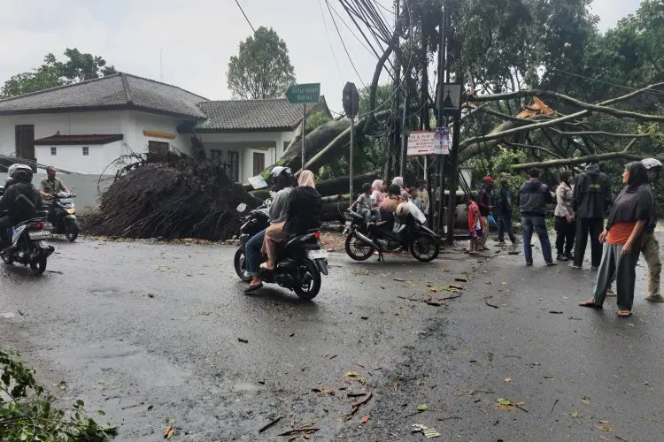 Bangunan SDN Baros Mandiri 4 Rusak Tertimpa Pohon, BPBD Cimahi Tekankan Pentingnya SPAB di Setiap Sekolah
