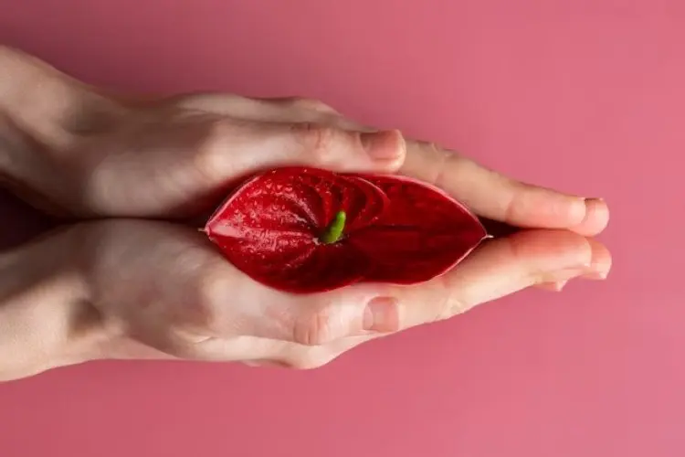 Mengatasi Rasa Terbakar di Vagina dengan Cara Alami yang Terbukti Ampuh