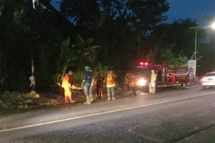 Jelang Makan Sahur, Pemotor Tertimpa Pohon di Jalan Siliwangi