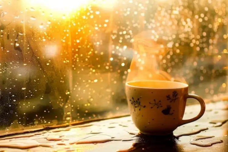 5 Minuman Musim Hujan yang Membantu Tidur Lebih Nyenyak