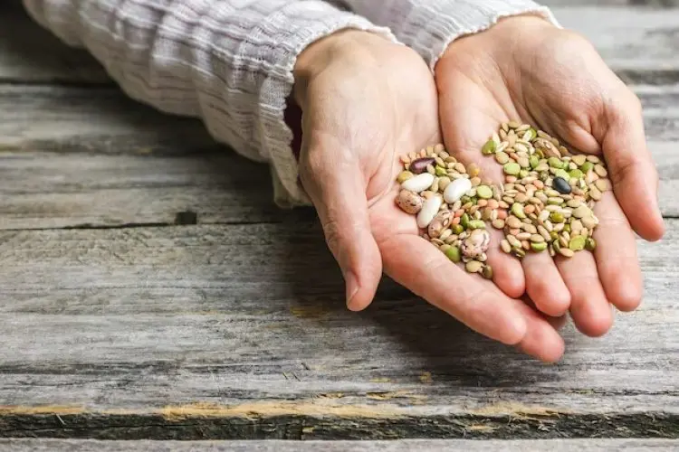 6 Biji-bijian Sehat yang Bisa Menjadi Kunci Diet Seimbang dan Tubuh Bugar
