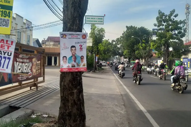  DLH Fokus Tangani Bahan Kampanye yang Dipaku di Pohon