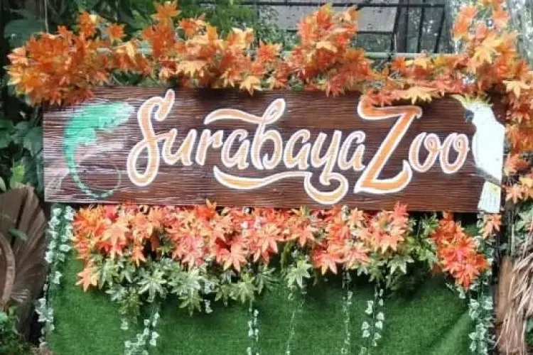 5 Destinasi Wisata Keluarga di Surabaya yang Tak Boleh Dilewatkan!