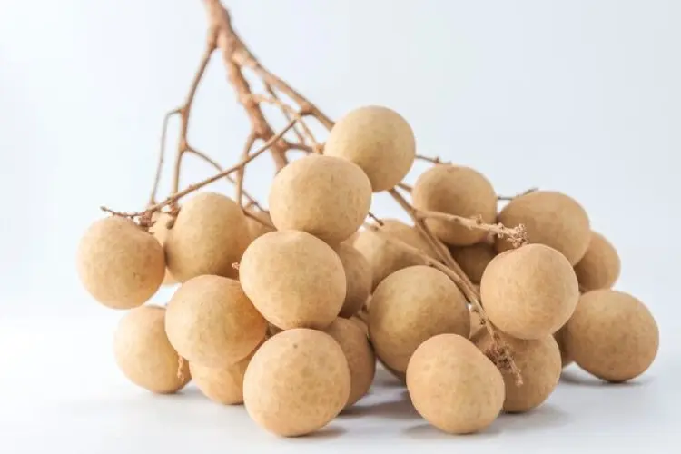 Kecil Bermanfaat, Simak 5 Manfaat Buah Duku untuk Kesehatan