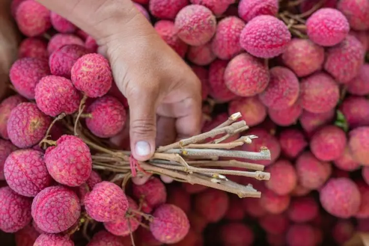 Beragam Manfaat Kesehatan dari Buah Leci yang Perlu Anda Ketahui