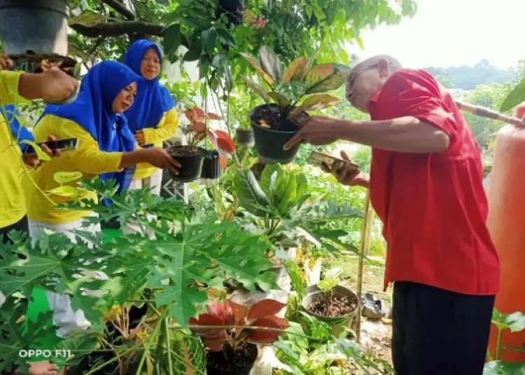 Tingkatkan Produktivitas Pertanian di Kabupaten Bogor, Distanhorbun Kedepankan Program PHT
