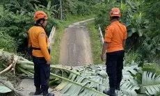 Sepekan, Dua Jembatan Ambruk di Babakan Madang Bogor