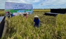 Jamin Hasil Produksi Meningkat, PLN UID Jabar Ajak Petani Swasembada Pangan Melalui Electrifying Agriculture