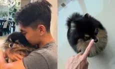 V BTS Umumkan Kehilangan Anjing Peliharaannya Yeontan yang Terkenal di Kalangan ARMY
