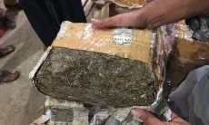 Hendak Ambil 5 Kilogram Ganja, Kurir Narkoba Diringkus Polresta Bogor Kota