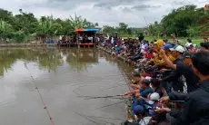 Gelar Mancing Gratis, Umuh Muchtar Keluarkan Lebih Dari 2 Kuintal Ikan