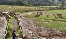 Bumi Perkemahan Rancaupas Tempat Kemping di Kabupaten Bandung yang Selalu Bikin Kangen Pengunjung untuk Kembali