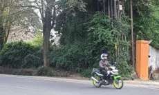 Rentan Terserang Penyakit Kanker, DLH Cimahi Bentuk Tim Dokter Pohon
