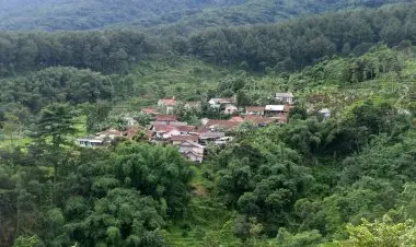 Pemekaran Wilayah Tak Selalu Jadi Solusi, Pengamat Soroti Risiko DOB