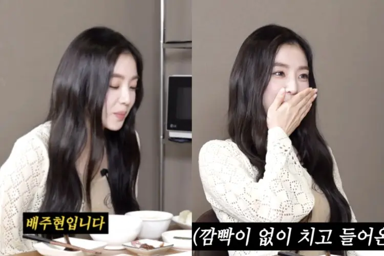 Ternyata Irene Red Velvet Pernah Gagal Audisi SM: Saya Menangis Sejadi-jadinya