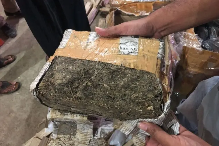 Hendak Ambil 5 Kilogram Ganja, Kurir Narkoba Diringkus Polresta Bogor Kota