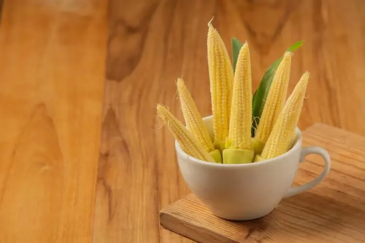 Manfaat Jagung Muda untuk Kesehatan: Rendah Kalori, Tinggi Nutrisi!