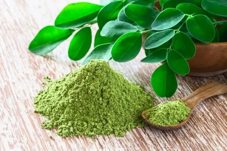Inilah Cara Menggunakan Bubuk Moringa untuk Meningkatkan Kesehatan Kulit dan Rambut
