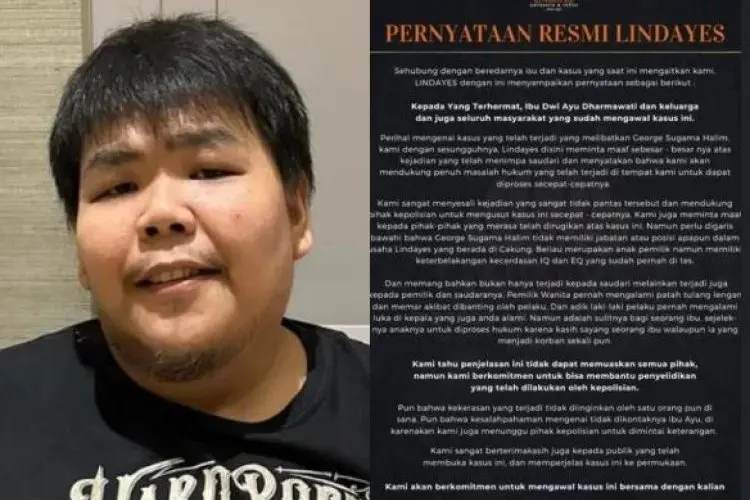 Anggota DPR Wanti-wanti Soal George Sugama Halim yang Disebut Sakit Jiwa, Hasbi: Jangan Mudah Percaya