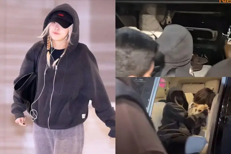 Kembali ke Korea, Rose BLACKPINK Dijemput Hank di Bandara