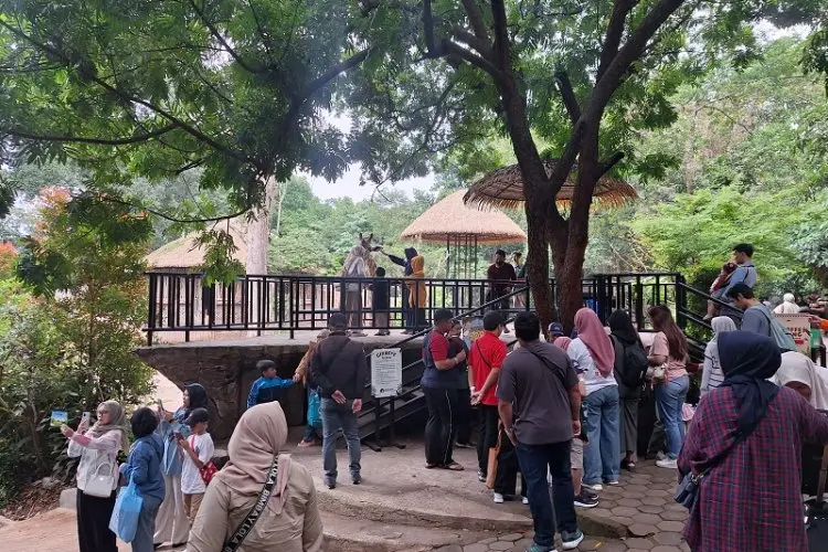Meriahkan Libur Natal, Kebun Binatang Bandung Gelar Parade Satwa