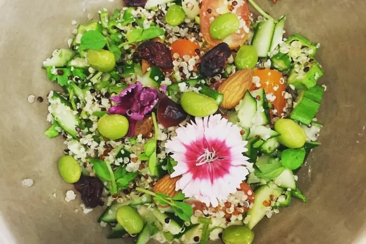 Resep Spesial: Salad Quinoa, Salad Segar dan Mengeyangkan untuk Rayakan Momen Istimewa Bersama Keluarga