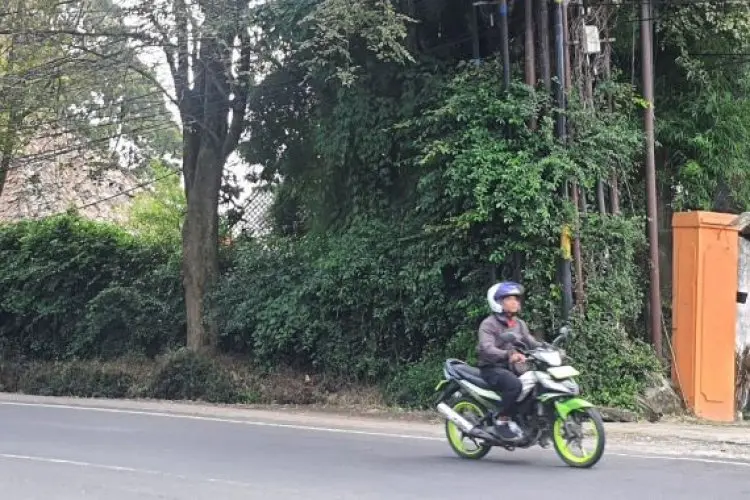 Rentan Terserang Penyakit Kanker, DLH Cimahi Bentuk Tim Dokter Pohon