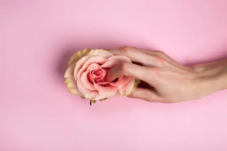 Makanan yang Membantu Menjaga Kebersihan dan Aroma Alami Vagina