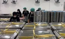 Program Makan Bergizi Gratis Serap 72.521 Tenaga Kerja
