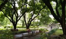 Rusak Keberadaan Taman, Pj Wali Kota Bandung Minta Aktivitas Pencari Koin Dihentikan
