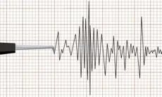 Korban Tewas Gempa Jepang M7,1 Bertambah Jadi 13 Orang, Evakuasi Terus Berlanjut