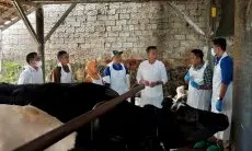 Jawa Barat Siapkan 52 Ribu Vaksin Hewan Ternak untuk Antisipasi Penyebaran PMK
