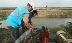 Dukung Tranformasi Pertanian Modern, Electrifying Agriculture PLN Raih 53.539 Pelanggan Baru sepanjang 2024 Kemarin