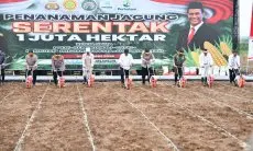 Subang Sebagai Model Nasional Gerakan Penanaman Jagung 1 Juta Hektare