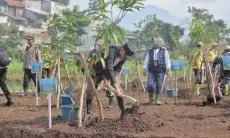 Pemkot Bandung Tanam 1.625 Bibit dan Bangun Kolam Retensi di Lahan Kritis Bandung Utara