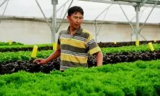DTPH Jabar Dorong Kemandirian Pangan Masyarakat