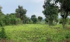 HKTI Desak Perlindungan Lahan Hijau Abadi dari Bisnis Kavling di Kabupaten Cirebon