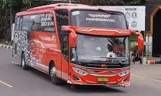 Sedang Menuju Puncak, 16 Bus Pariwisata Ditilang Polres Bogor, Ada Apa?