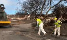 Ancaman Baru Muncul Usai Hujan Turun di Wilayah California