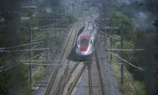 Kereta Cepat Whoosh Telat 40 Menit Gara-Gara Tabrak Biawak