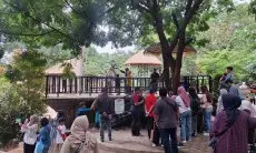 Meriahkan Imlek, Kebun Binatang Bandung Gelar Pertunjukan Barongsai