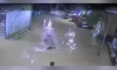 Ngeri! Buaya Tiba-tiba Muncul di Pemukiman Warga Saat Banjir hingga Kejar Bebek Peliharaan