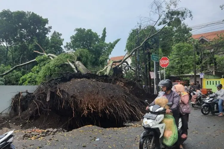 Hujan Deras dan Angin Kencang Picu Bencana, BPBD Cimahi Minta Warga Waspada