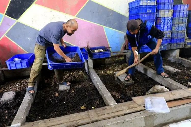 FOTO: Pengelolaan Sampah Organik dengan Budidaya Maggot