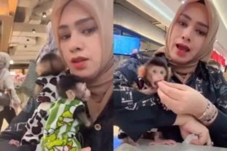 Emak-Emak Bawa Dua Monyet ke Pondok Indah Mall, Balik Marah Saat Ditegur Satpam