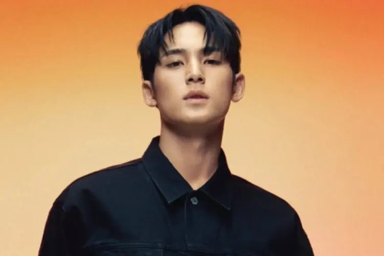 Pelaku yang Sebarkan Foto Mingyu SEVENTEEN Tanpa Baju kini Dibebaskan