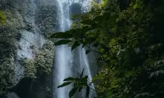 Viral! Harga Tiket Curug Nangka Bogor Dipatok Rp54.900 Per Orang, Wisatawan: Gokil!