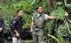 Banjir di Sumatera Bawa Gelondongan Kayu, Menhut: 20 Izin PBPH Buruk Akan Dicabut